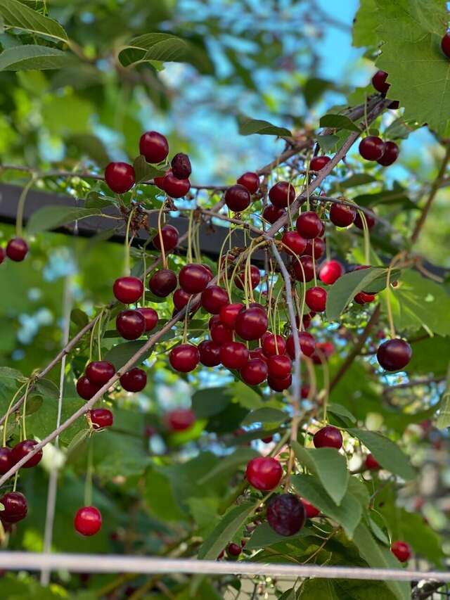 Гостиница Арина Витязево-36